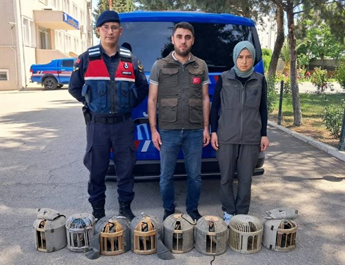 (8) adet kınalı keklik Adıyaman Doğa Koruma ve Milli Parklar Müdürlüğü ekiplerine teslim edildi.